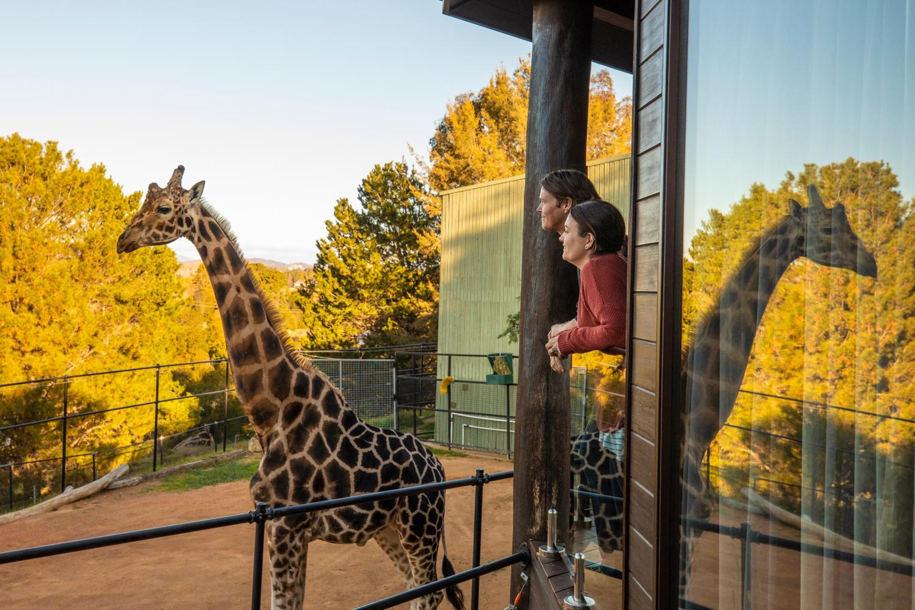 Jamala Wildlife Lodge