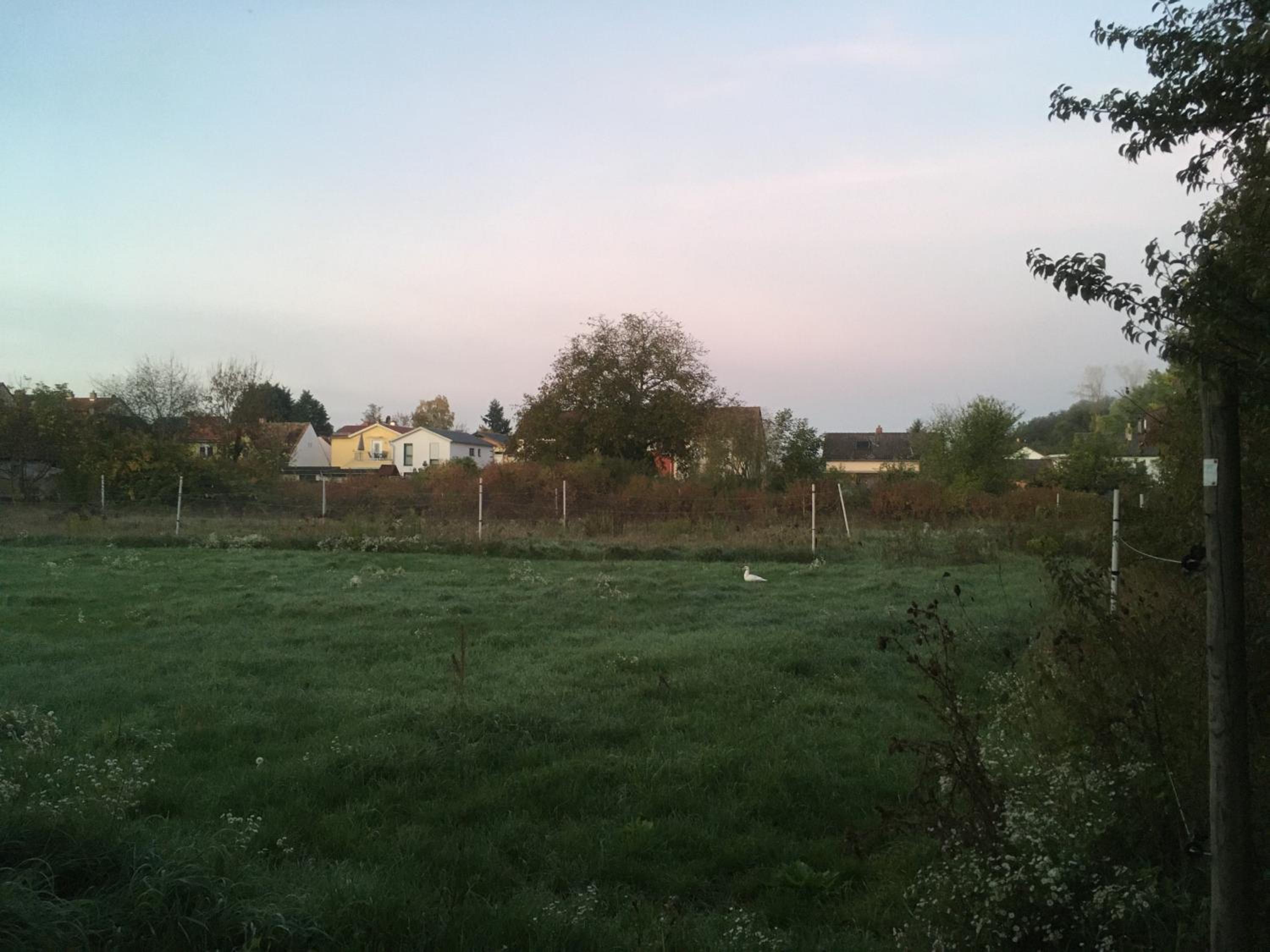 Alte Heimat