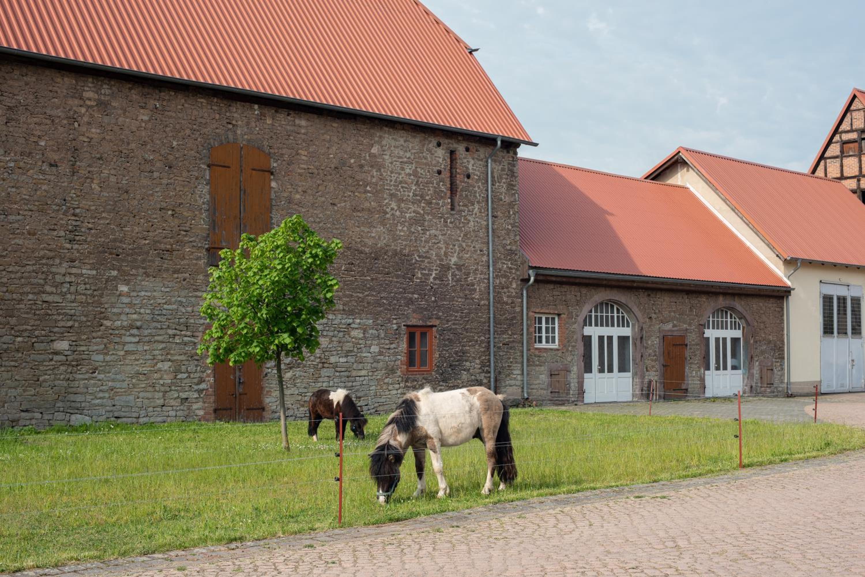 Sonnenschloss