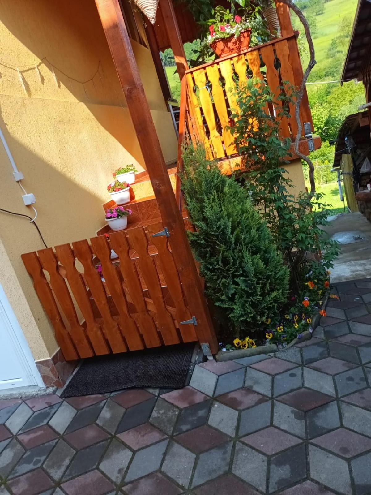 Photo 46