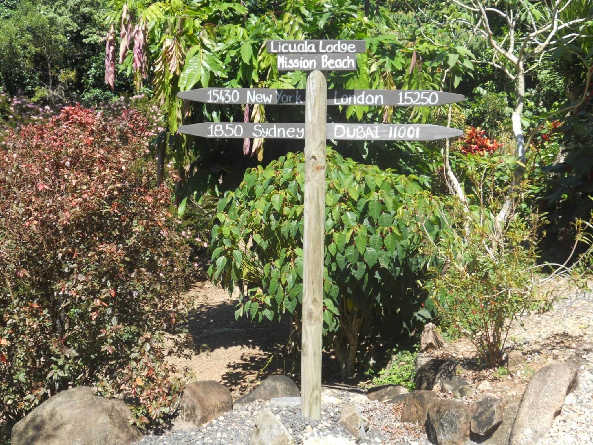 Photo 51