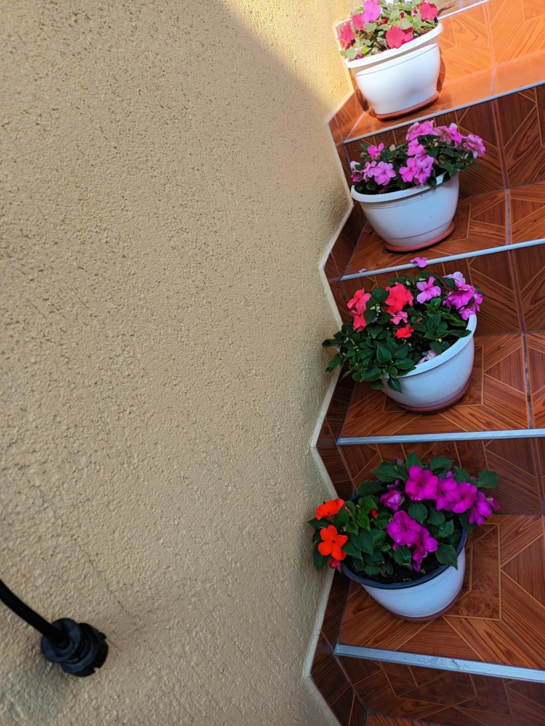 Casa VIO view 4