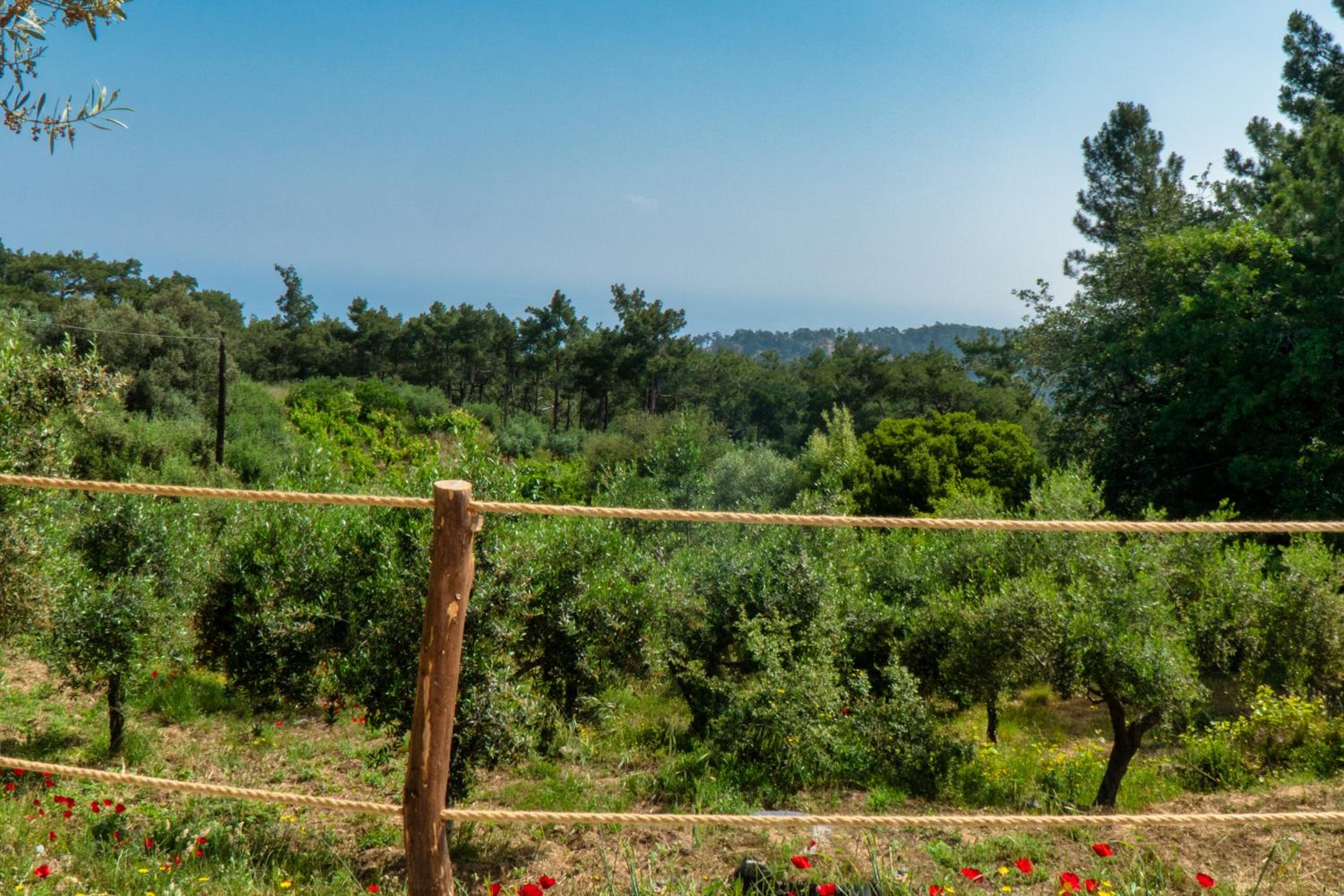 luxury dome tents ikaria ap'esso