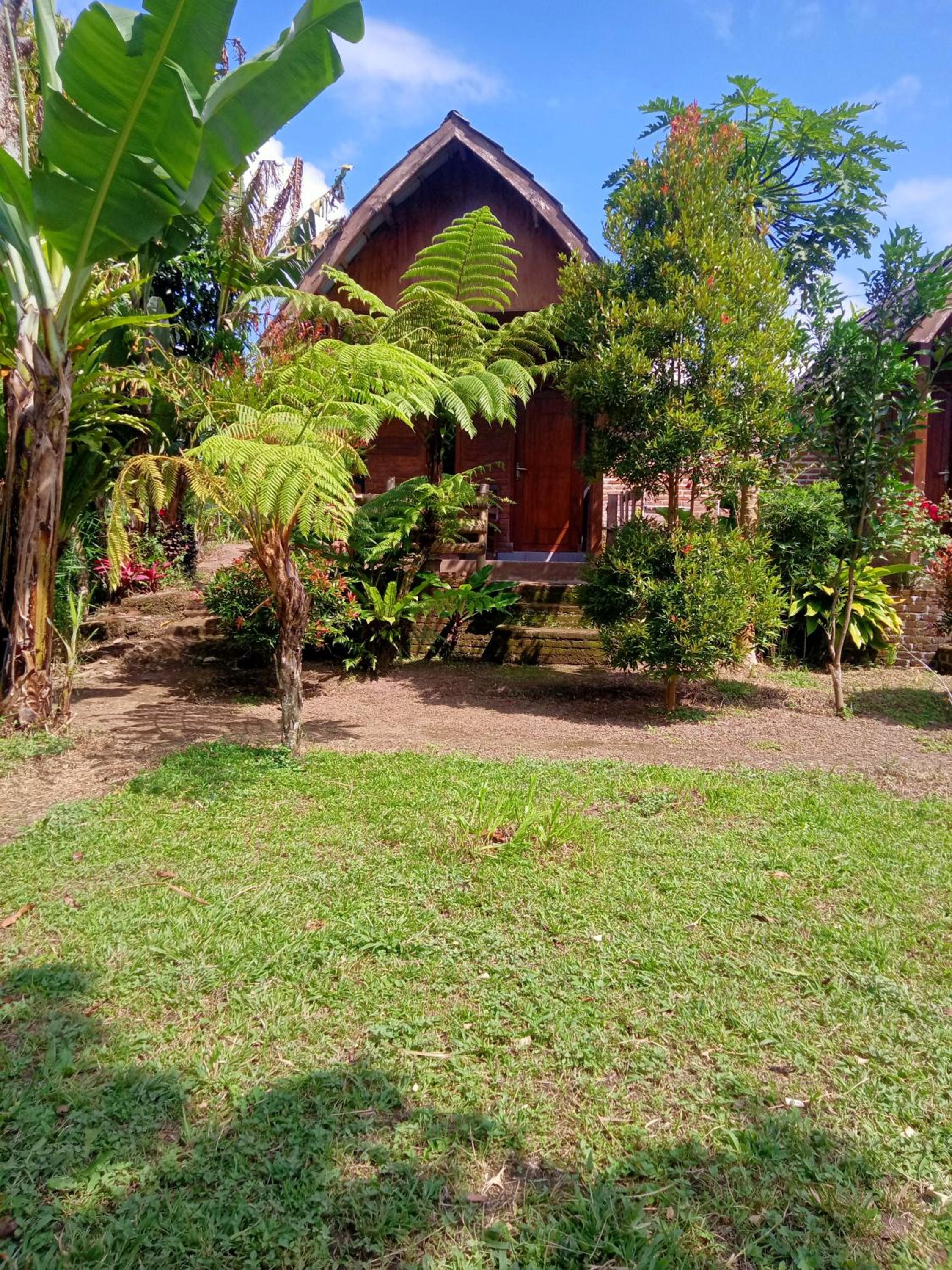 Photo 31