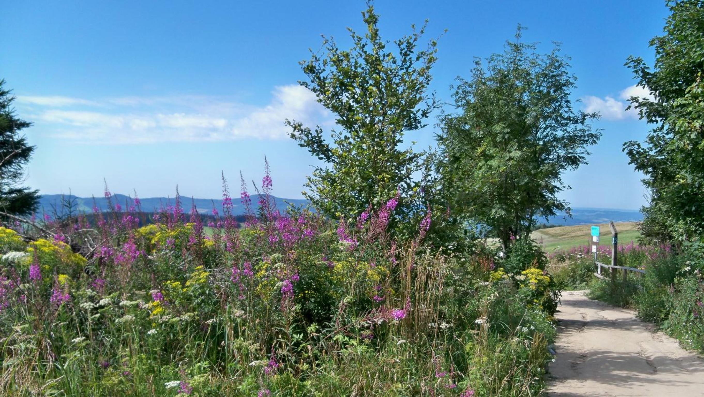 Ferienwohnung Am Himmel