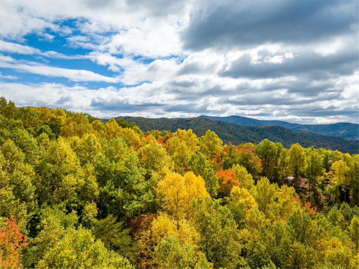 New Listing! The Laurel Mountain Chalet