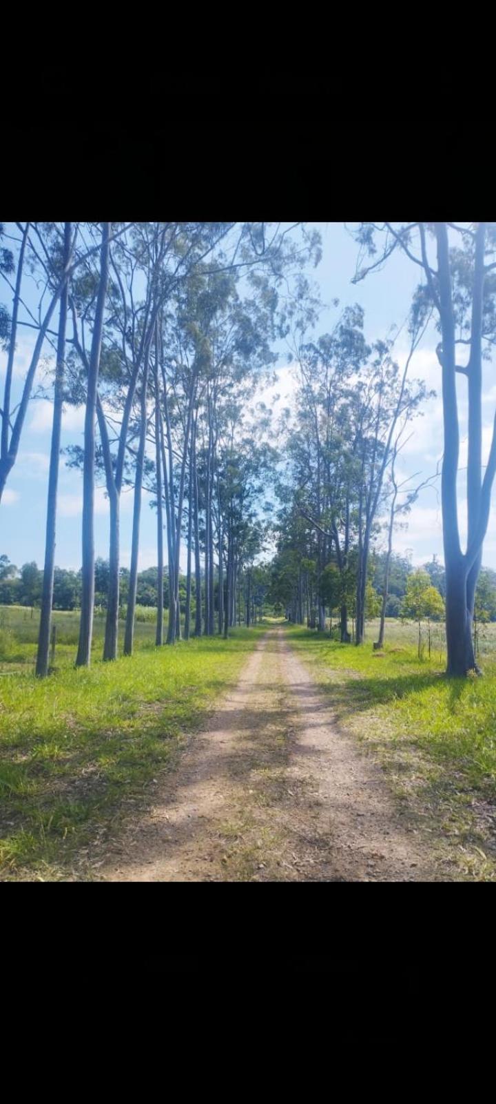Casa na Serra - em meio à um bosque c Ofurô aquecido
