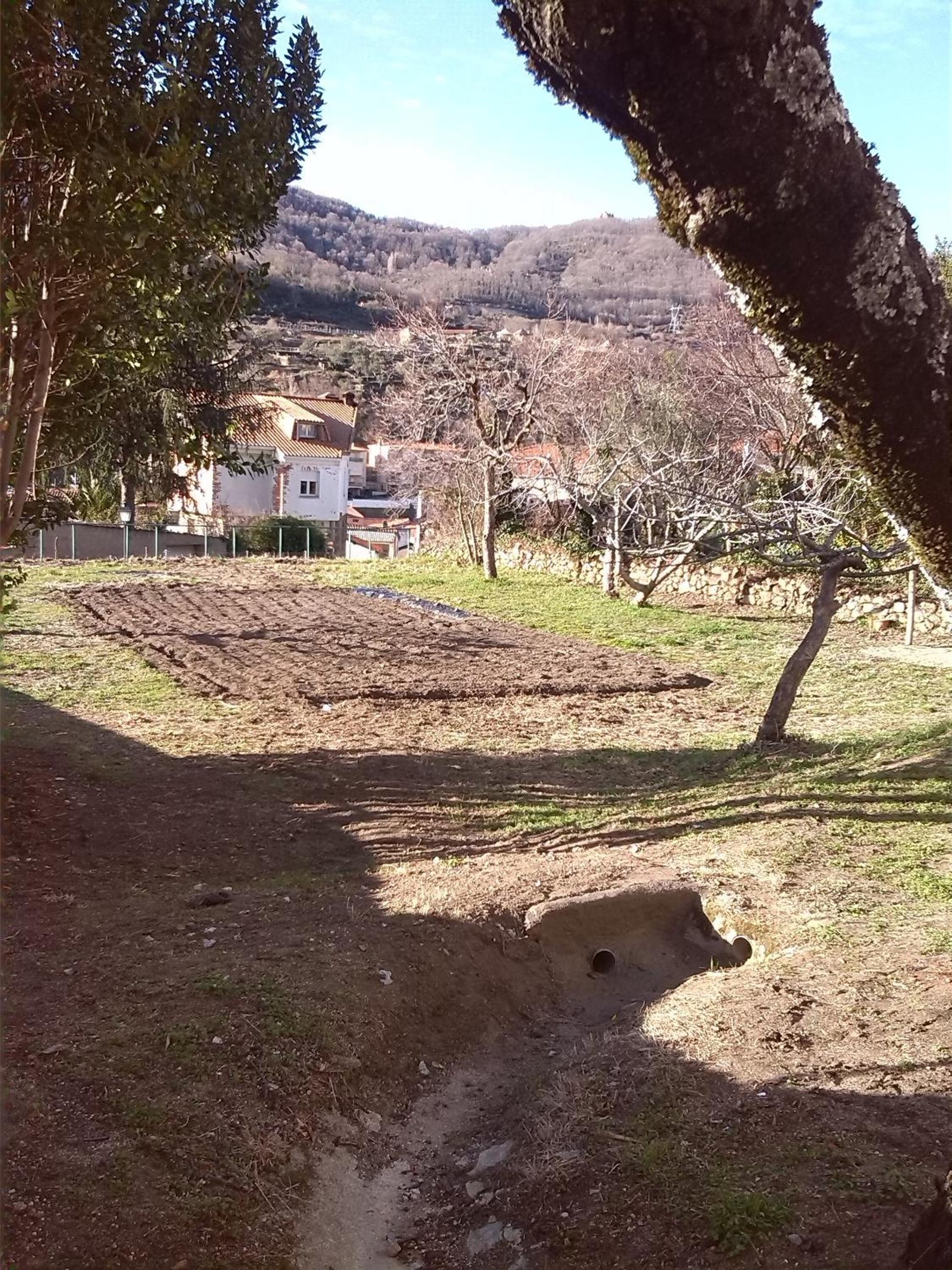 Photo 14