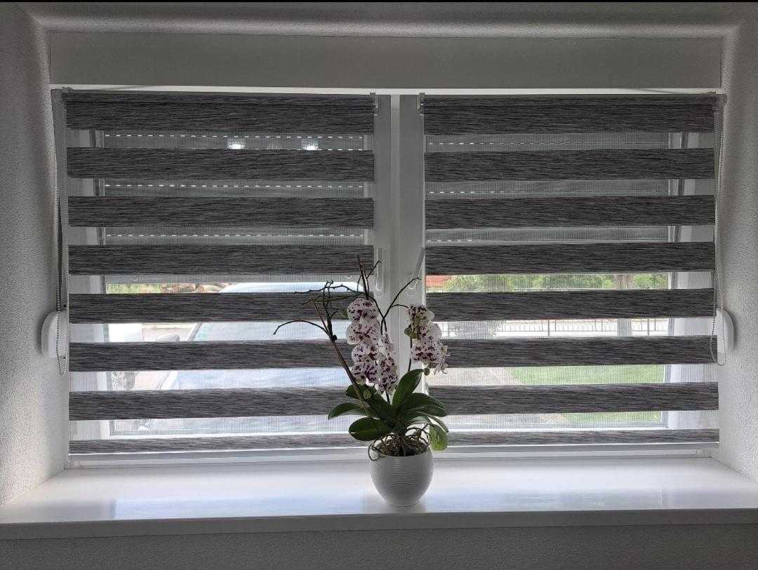 Apartman Ivo