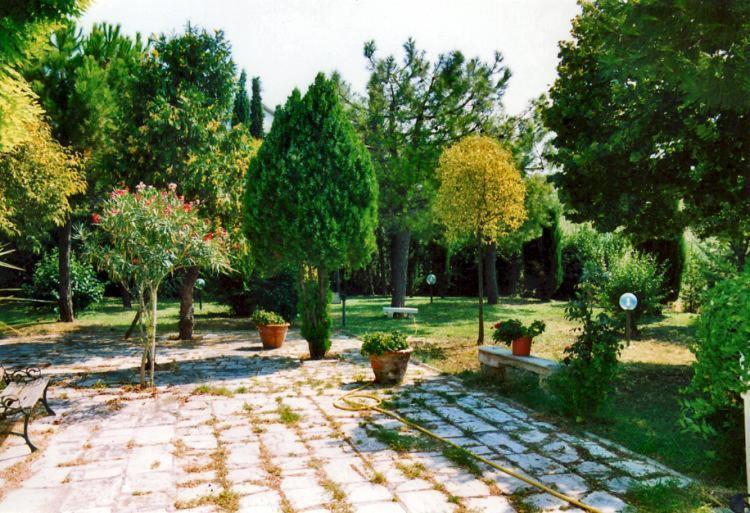 Photo 47