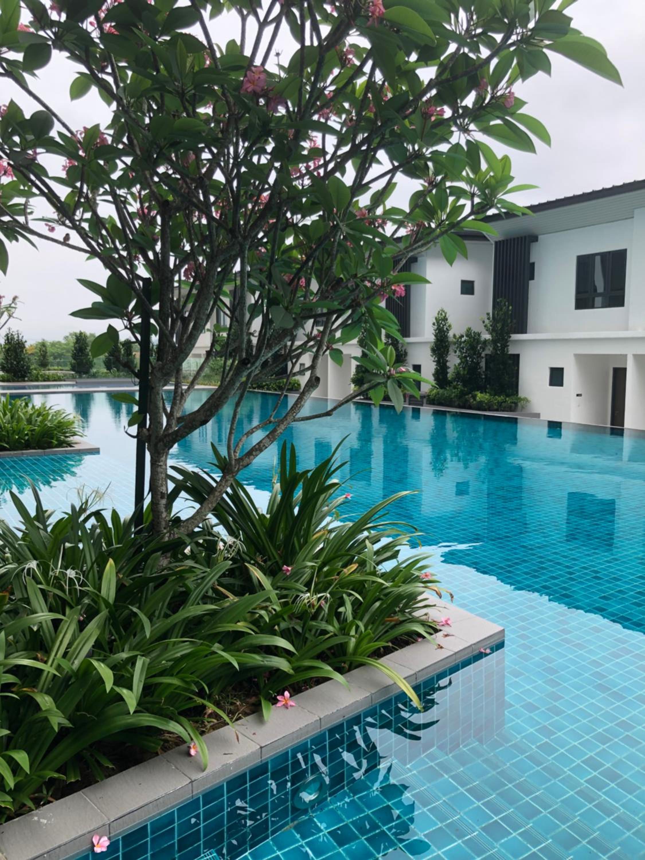 Onsen Oasis Premium Suites