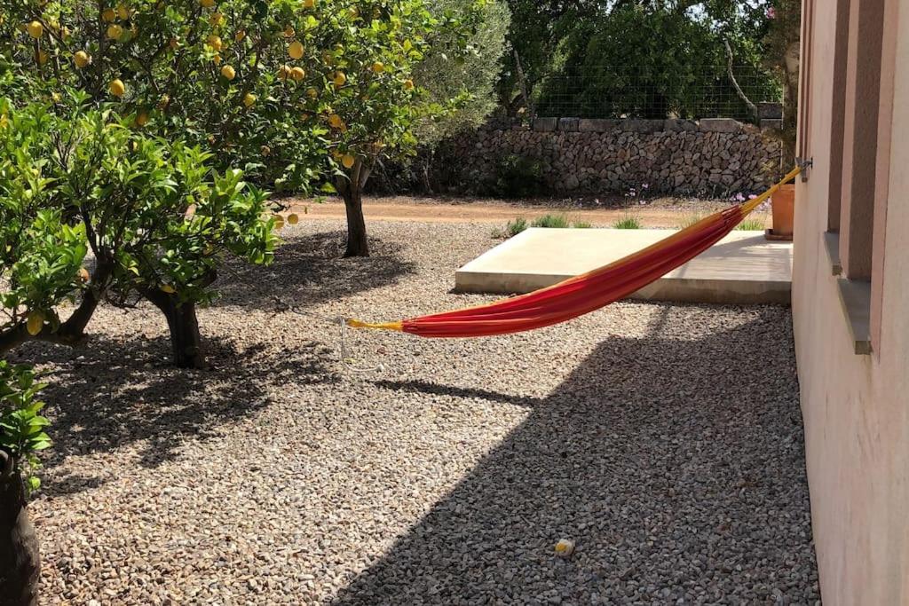 Finca Mia Limon