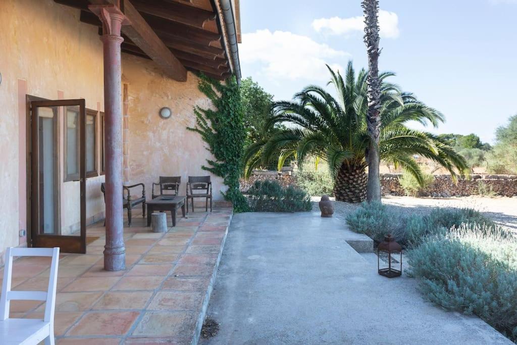 Finca Mia Limon
