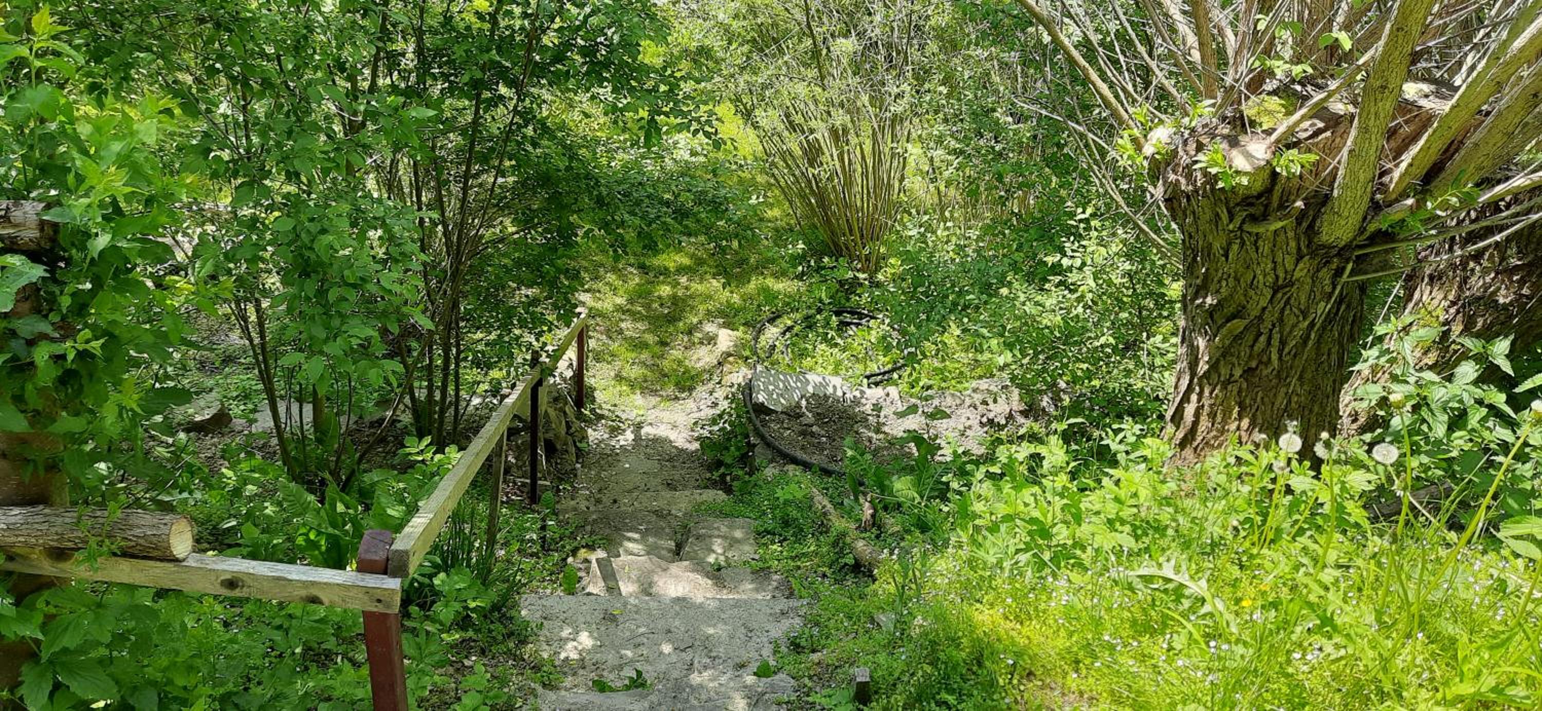Photo 13