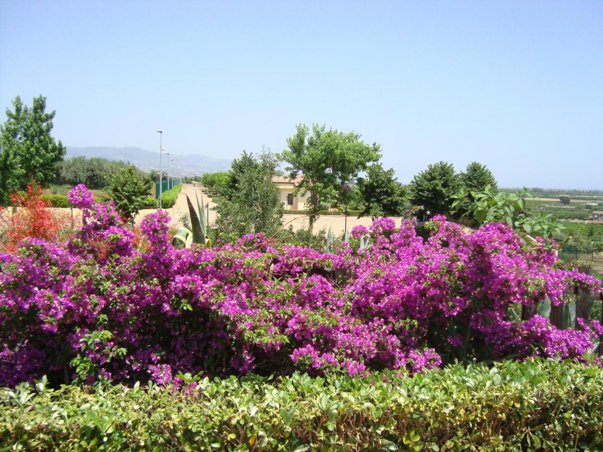 Tenuta Colle Degli Ulivi photo 4