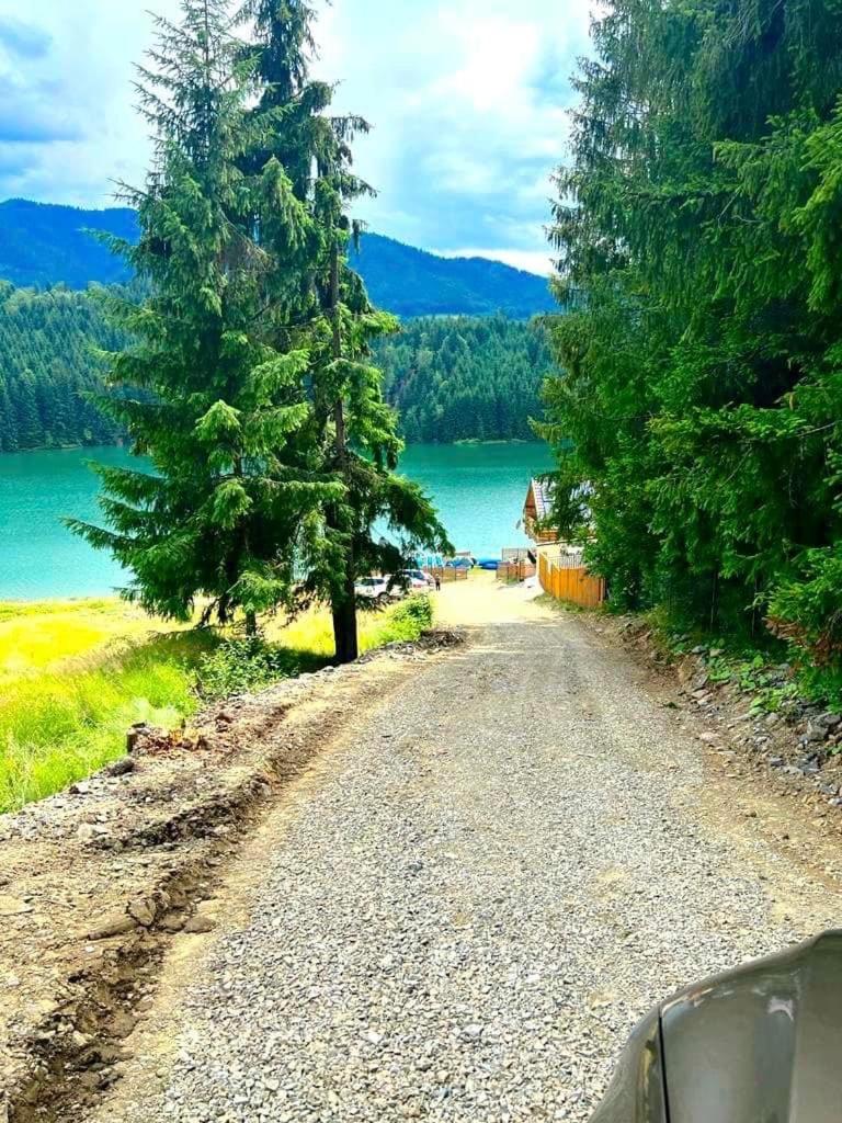 Photo 41