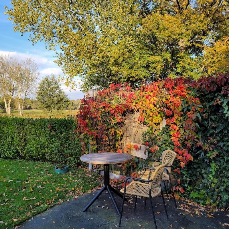 Hoeve H-art, Silo 161, Uniek Drents silo-appartement met privé terras en rust