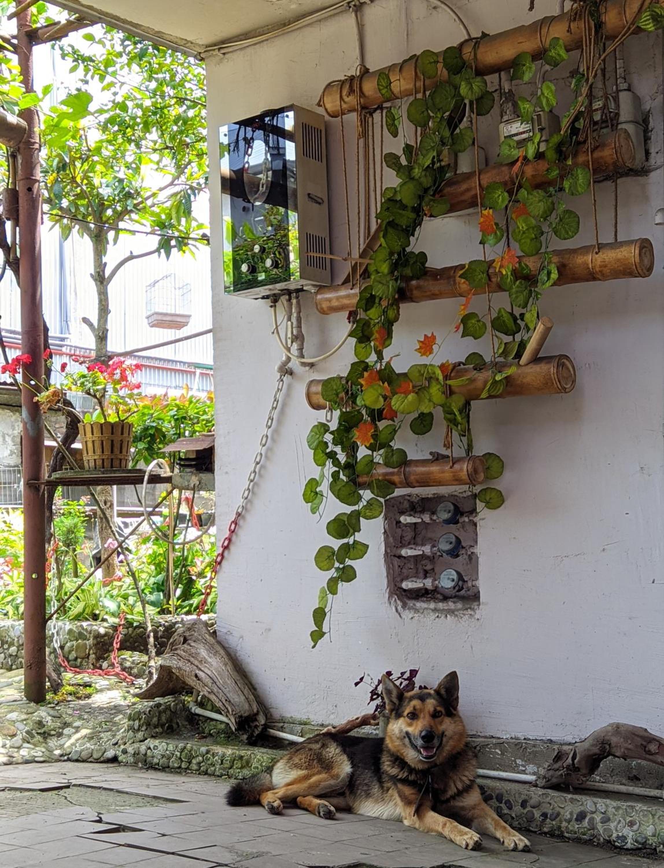 Oasis of calm in Batumi