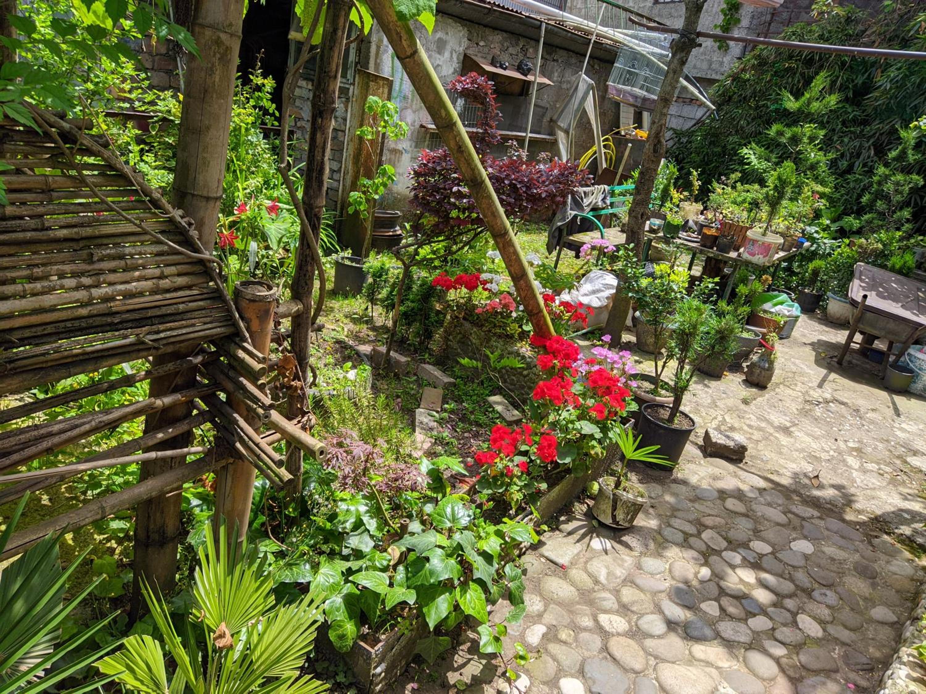 Oasis of calm in Batumi