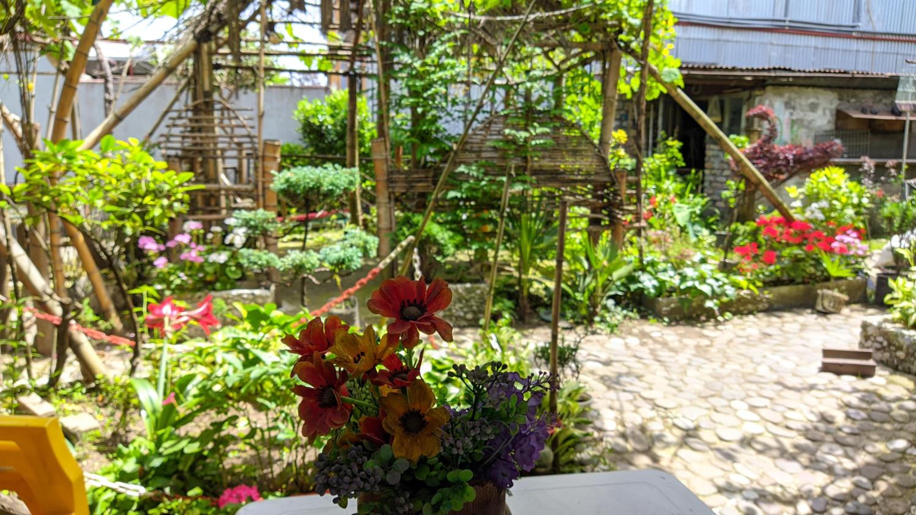 Oasis of calm in Batumi