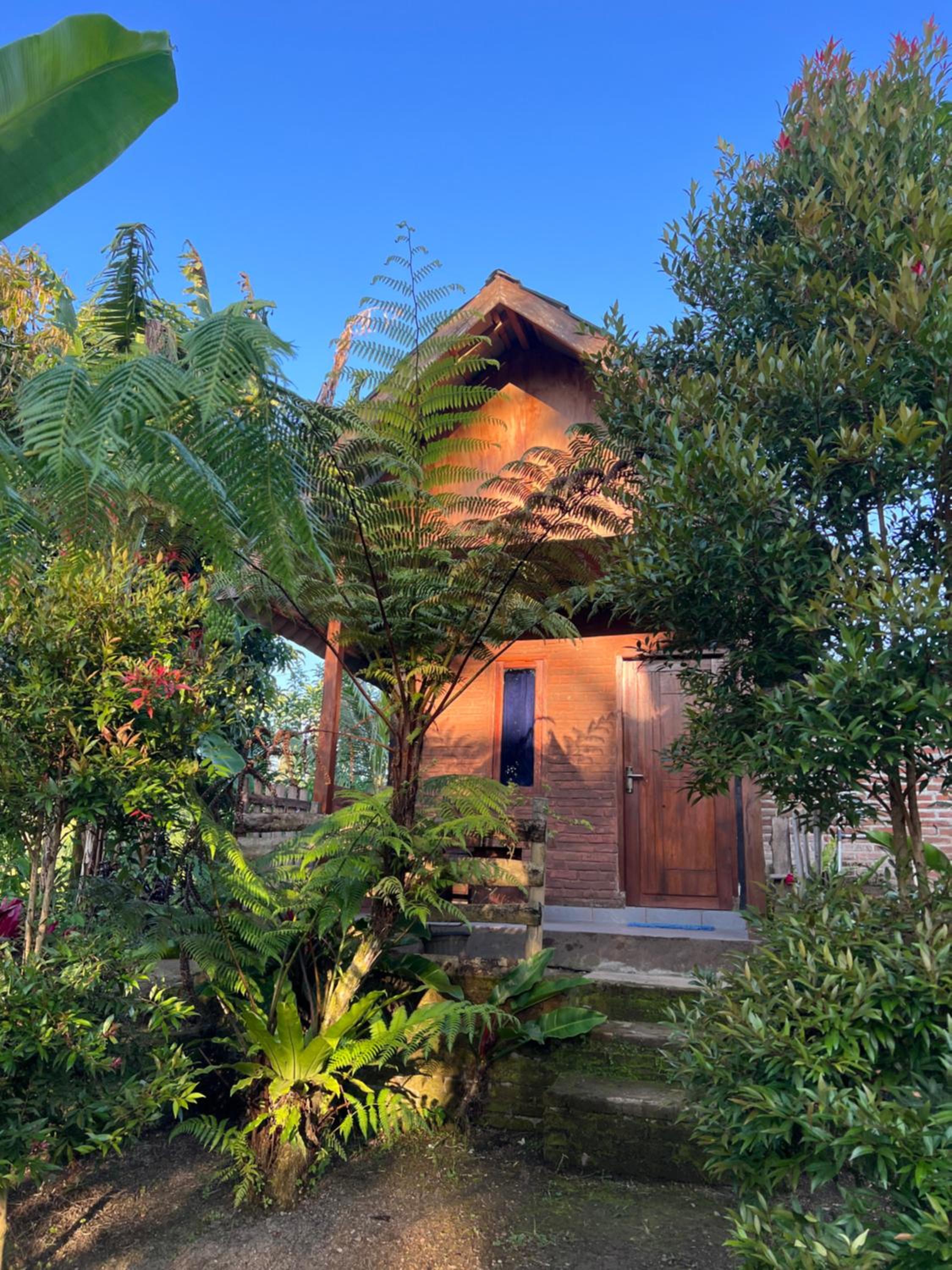 Tetebatu Sunrise Homestay view 2