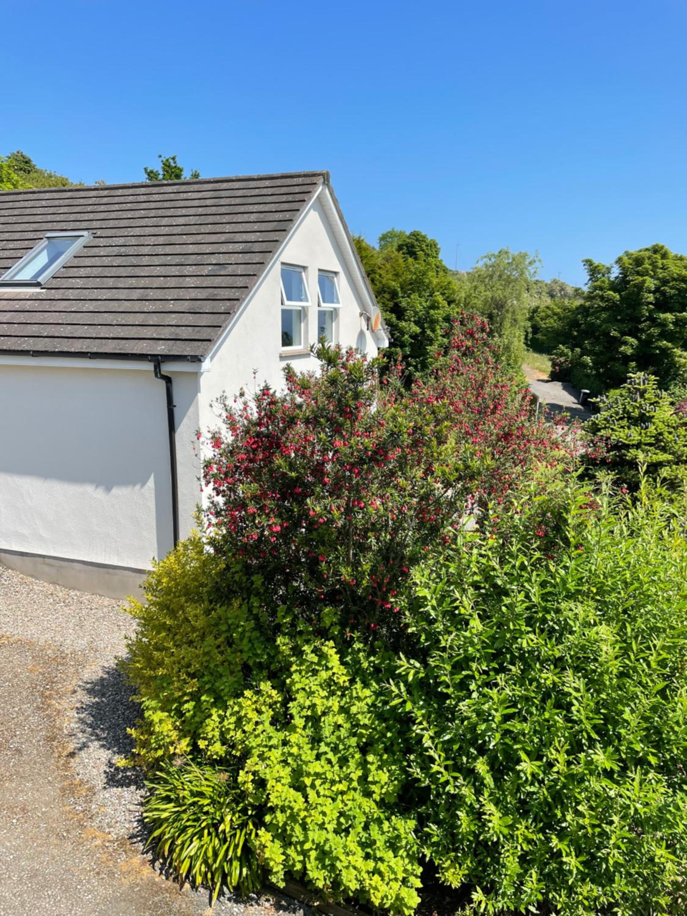 Loughview Lodge