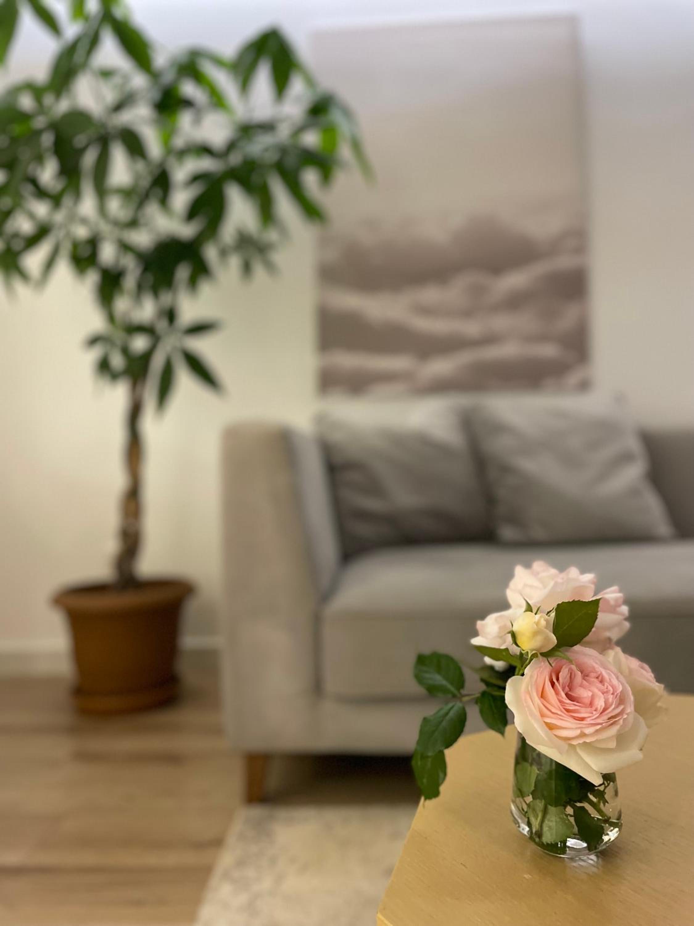 Luxury Lily's apartment