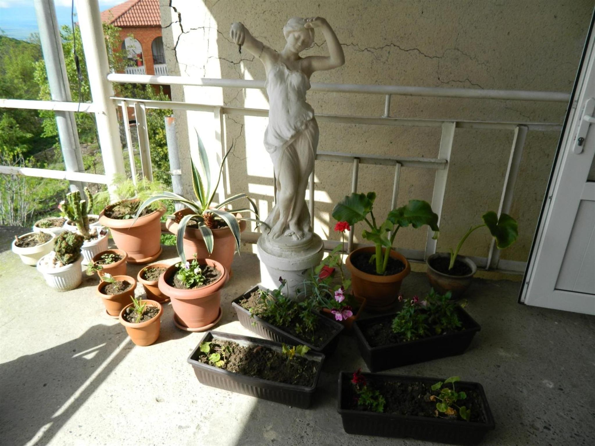 Photo 45
