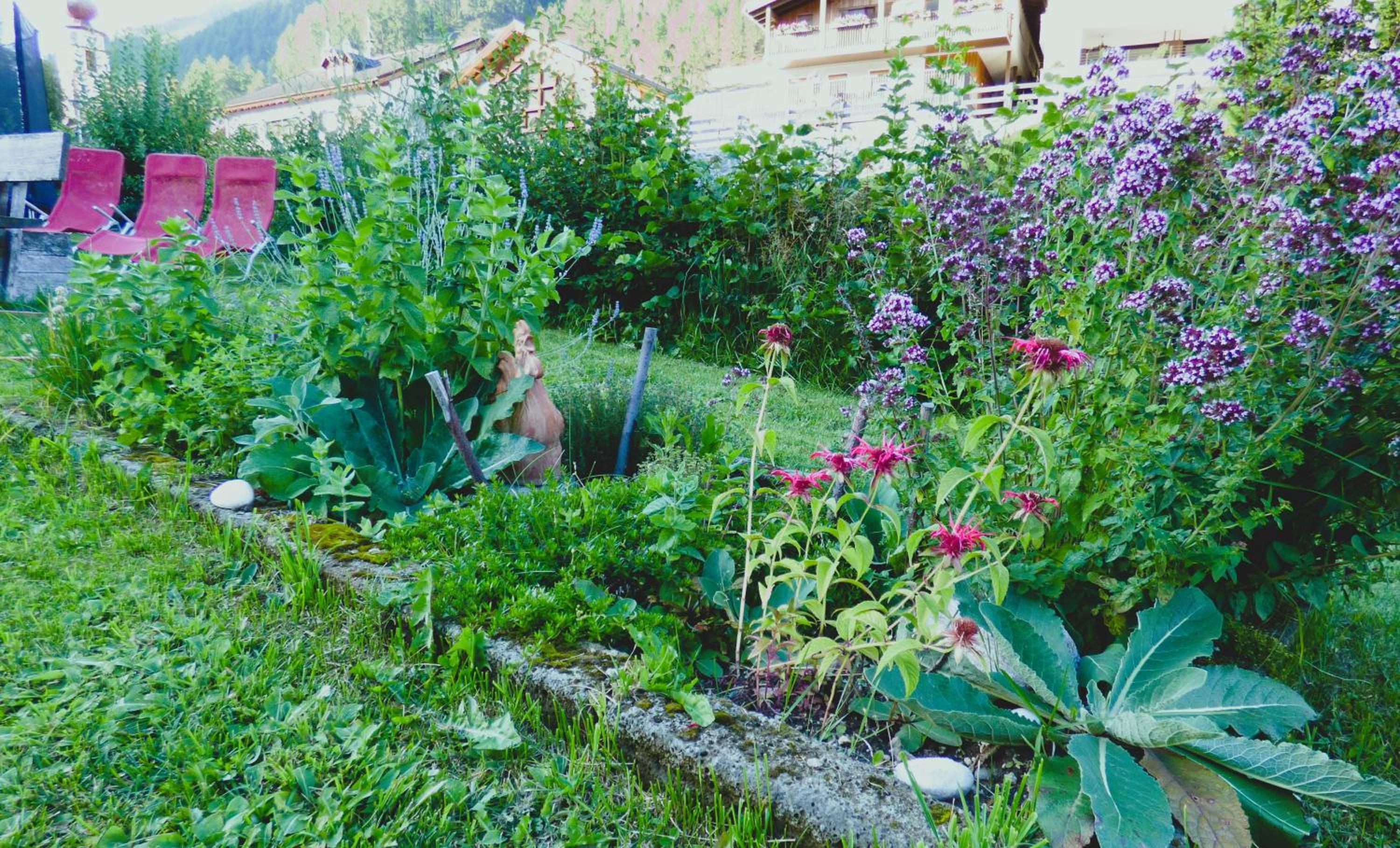 Photo 64