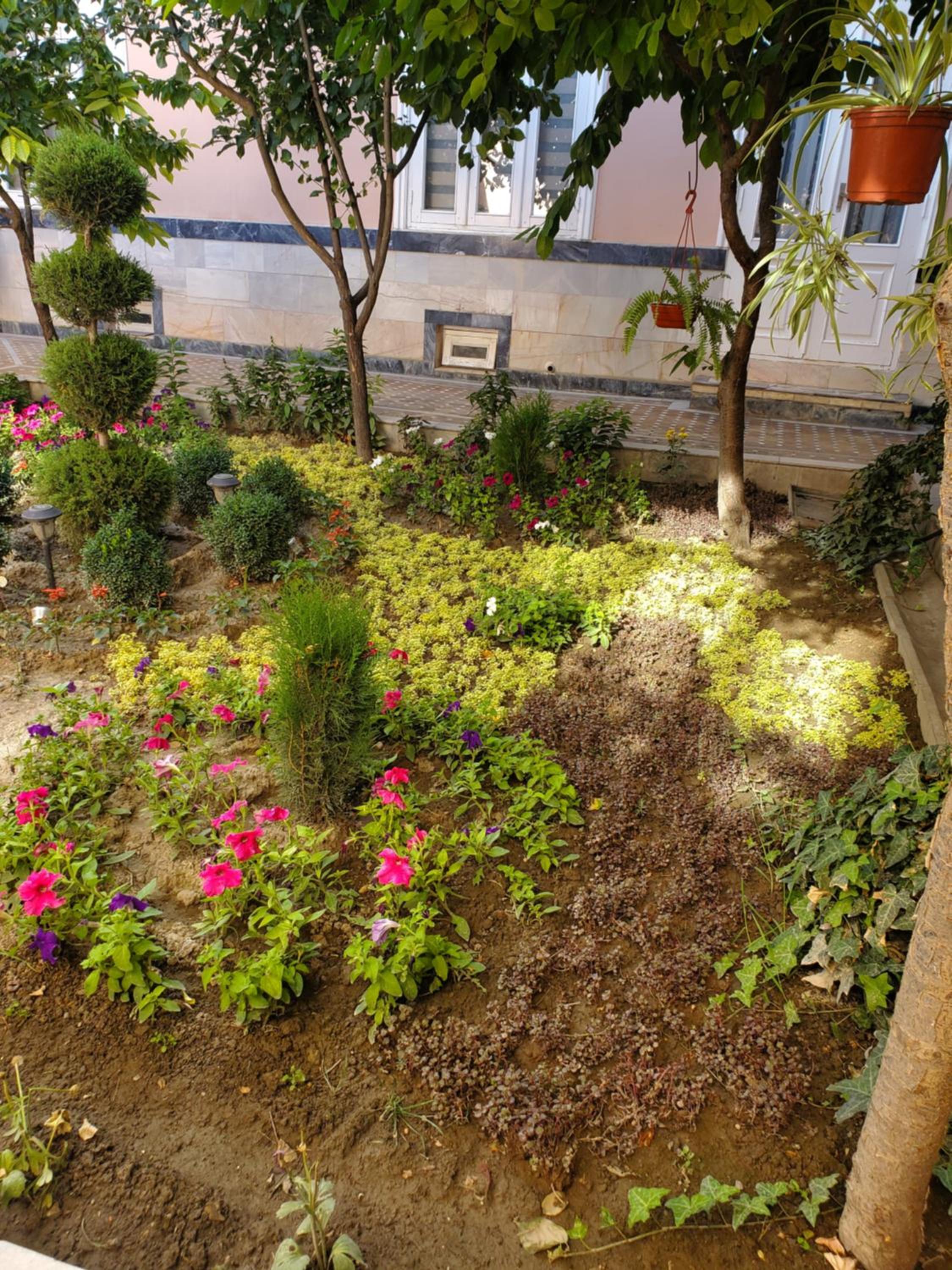 Photo 47