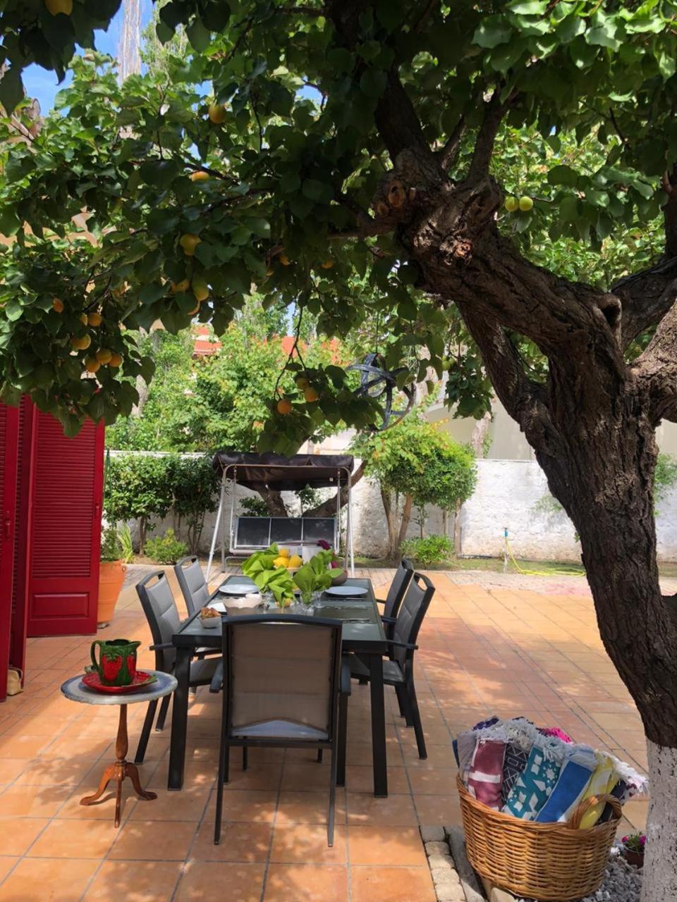 Mediterranean house with beautiful garden