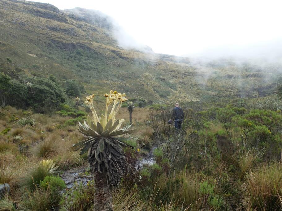 El Refugio, Escape Rural