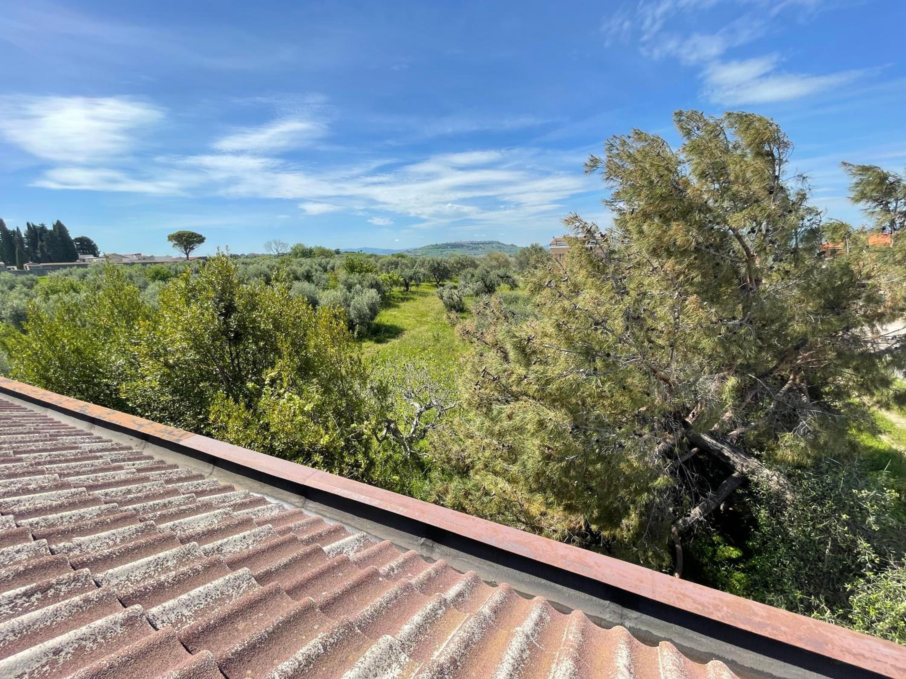 roof
