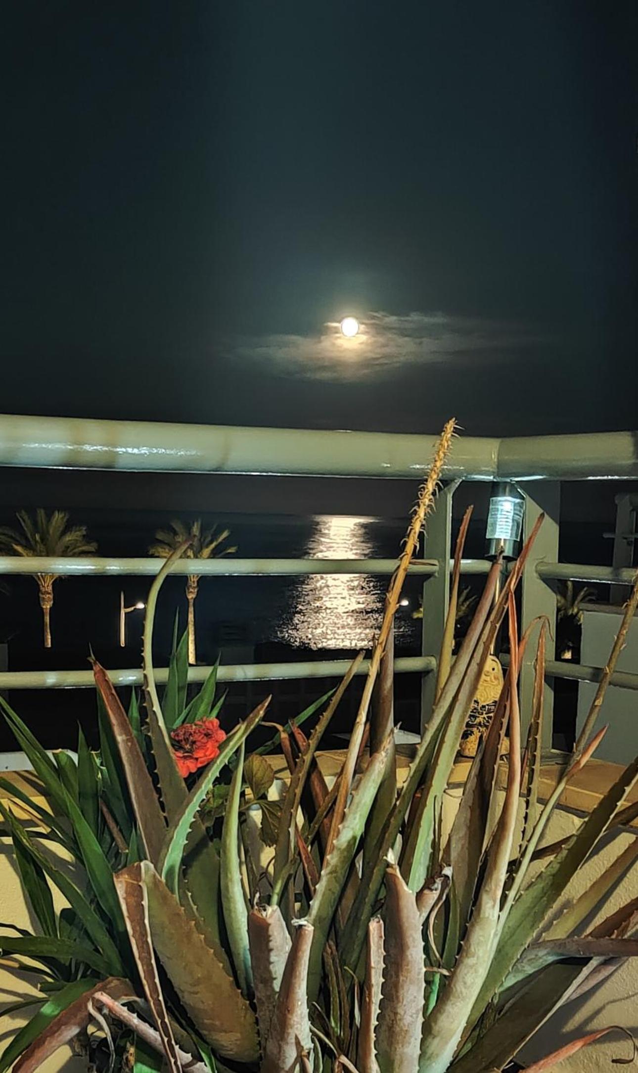 Apartamento Playa del Faro