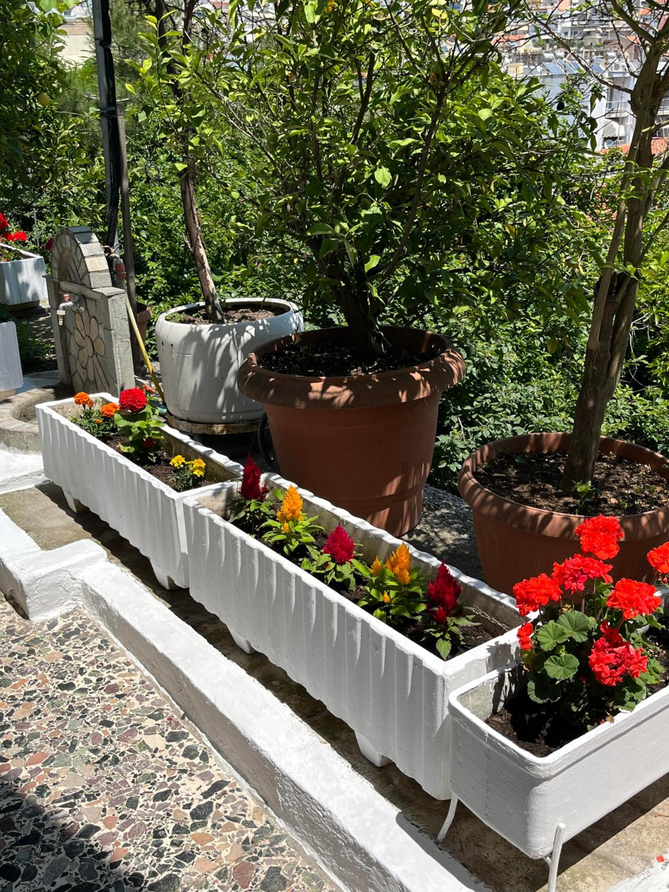 Vasilis Garden House
