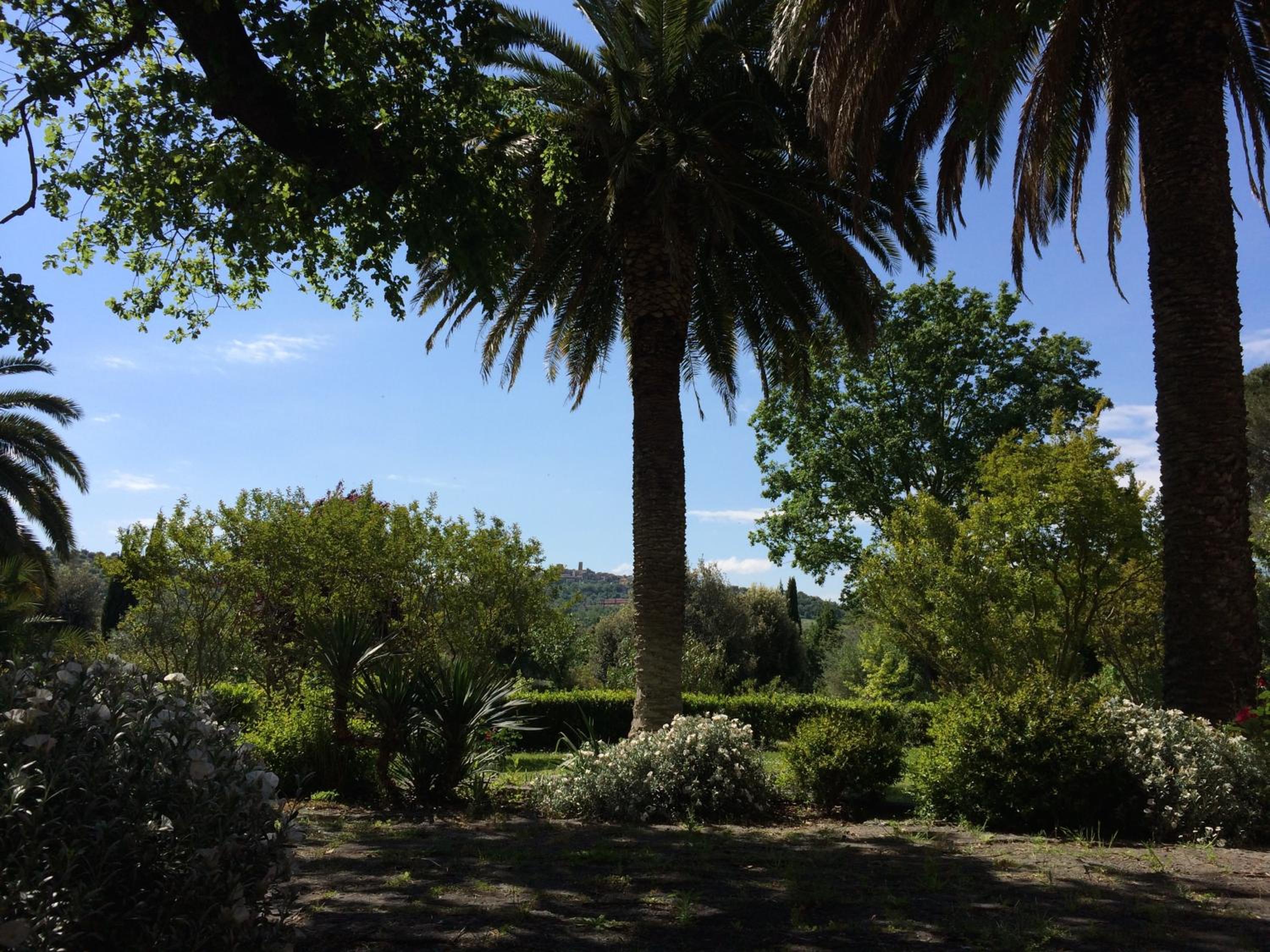 Photo 49