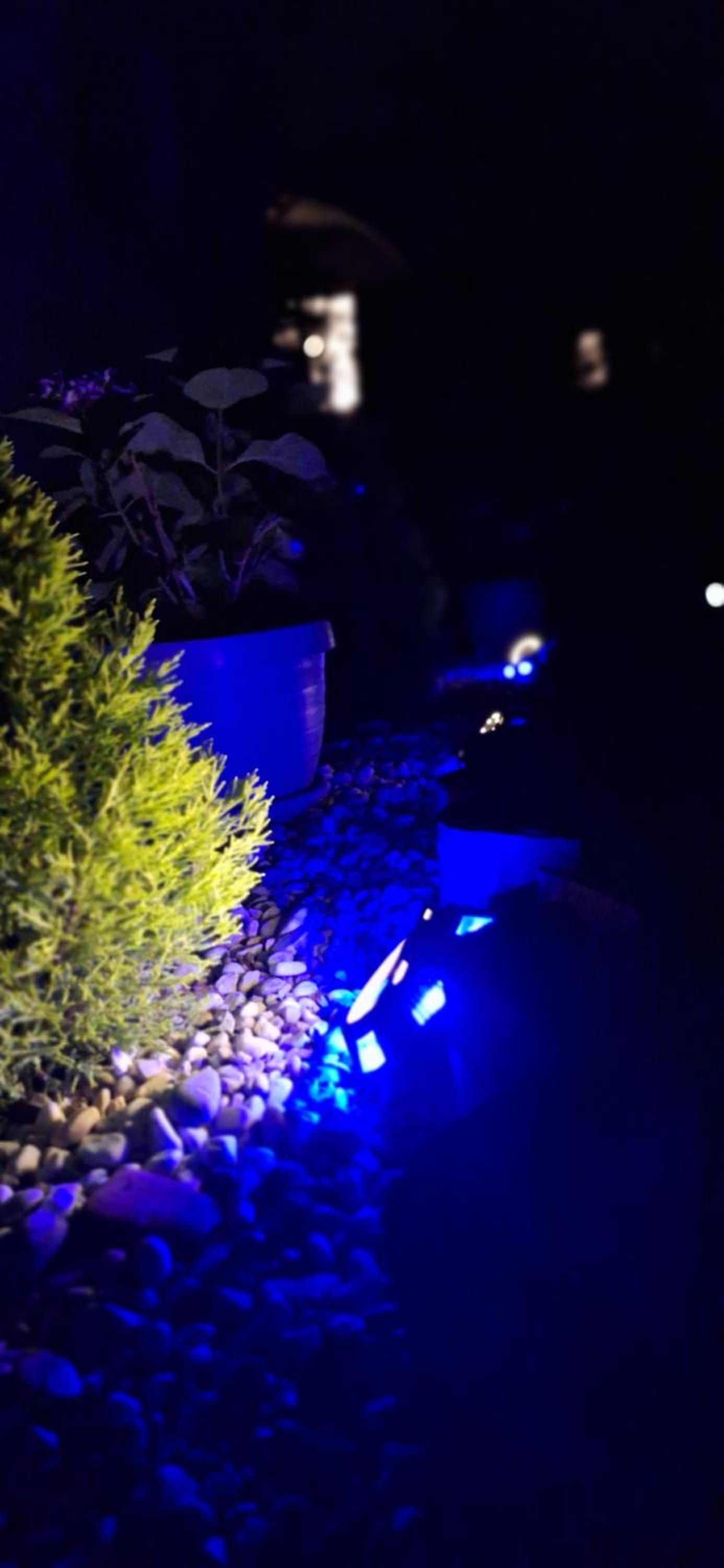 apartman Sanja view 3