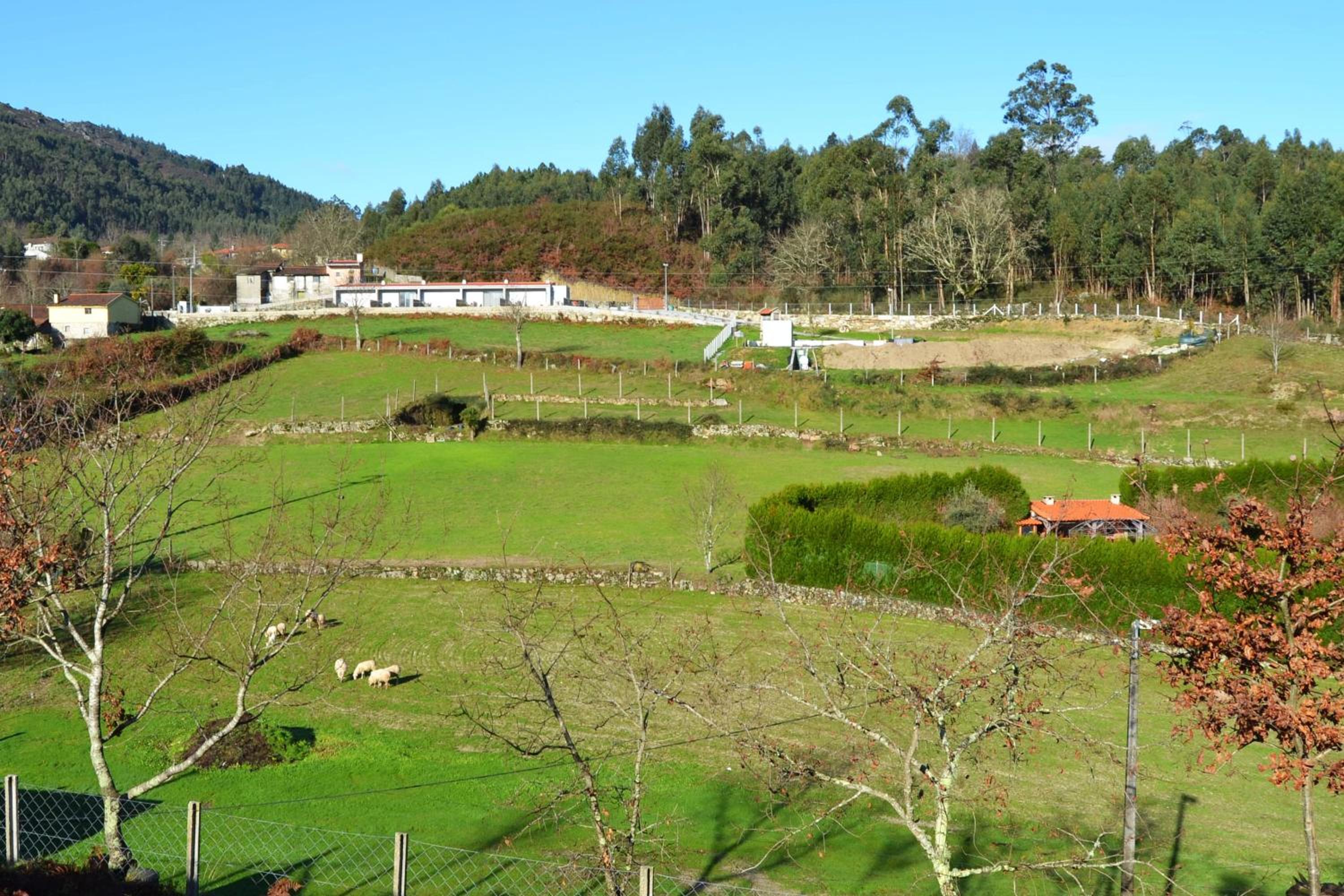 Campo Seco
