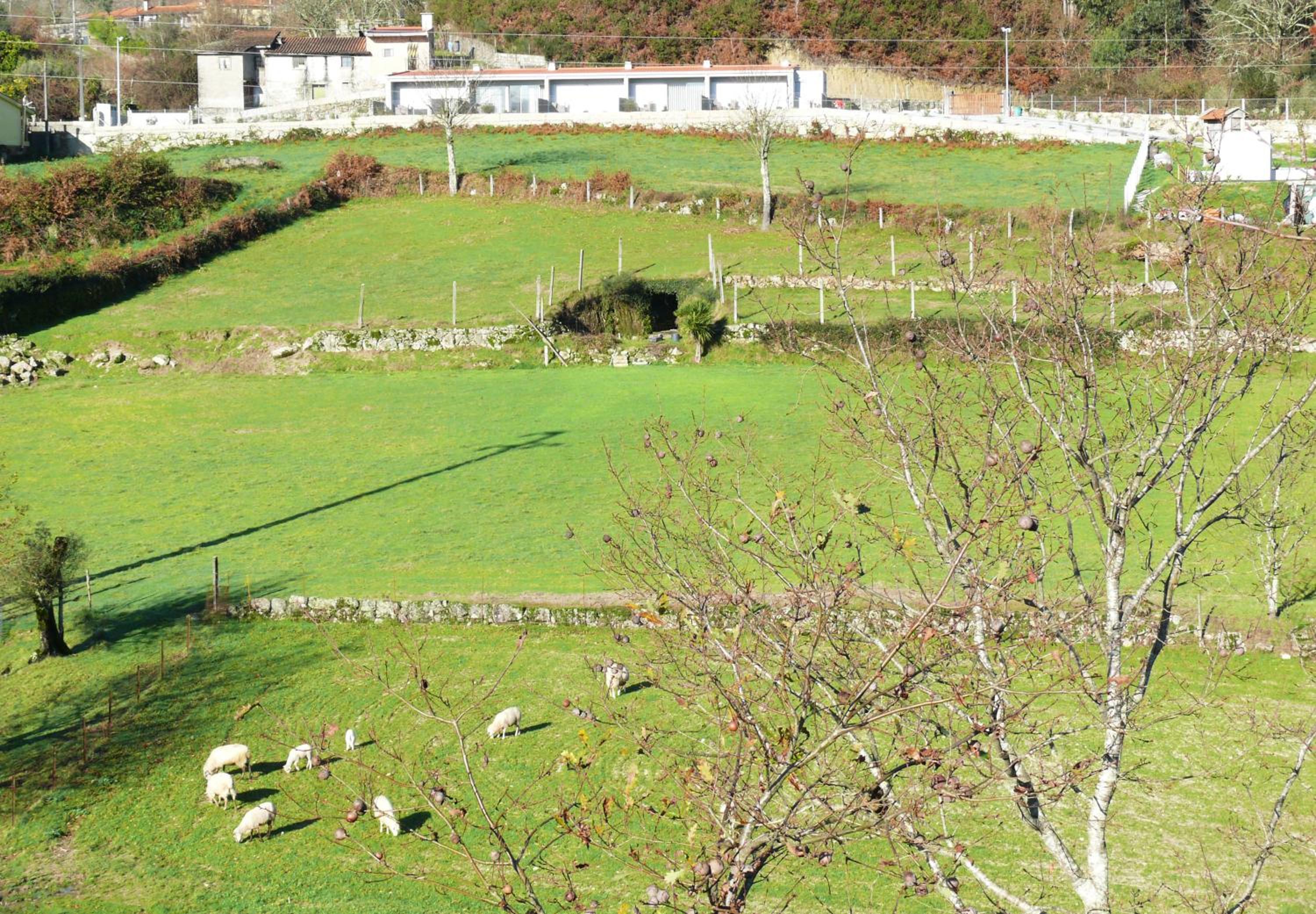 Campo Seco