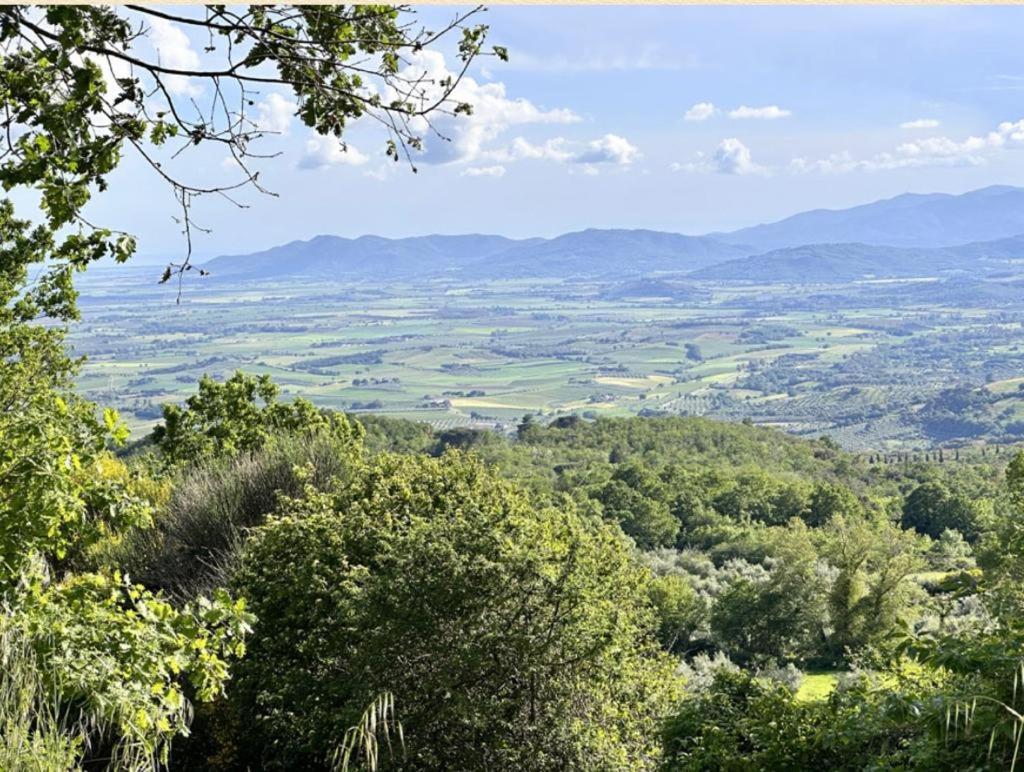 Villa Matilde view 3
