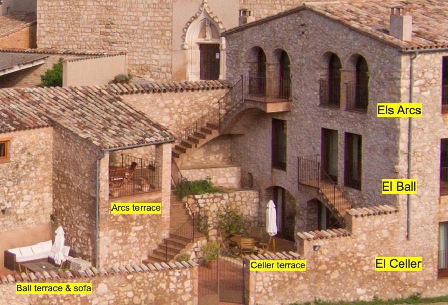 Can Morei
