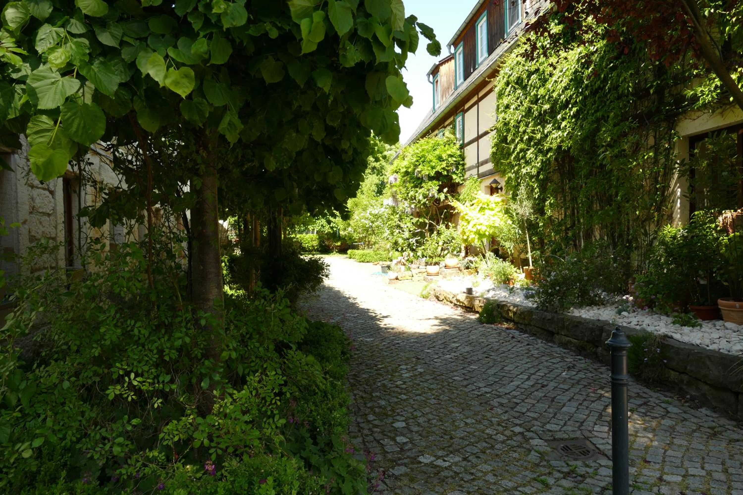 Photo 24