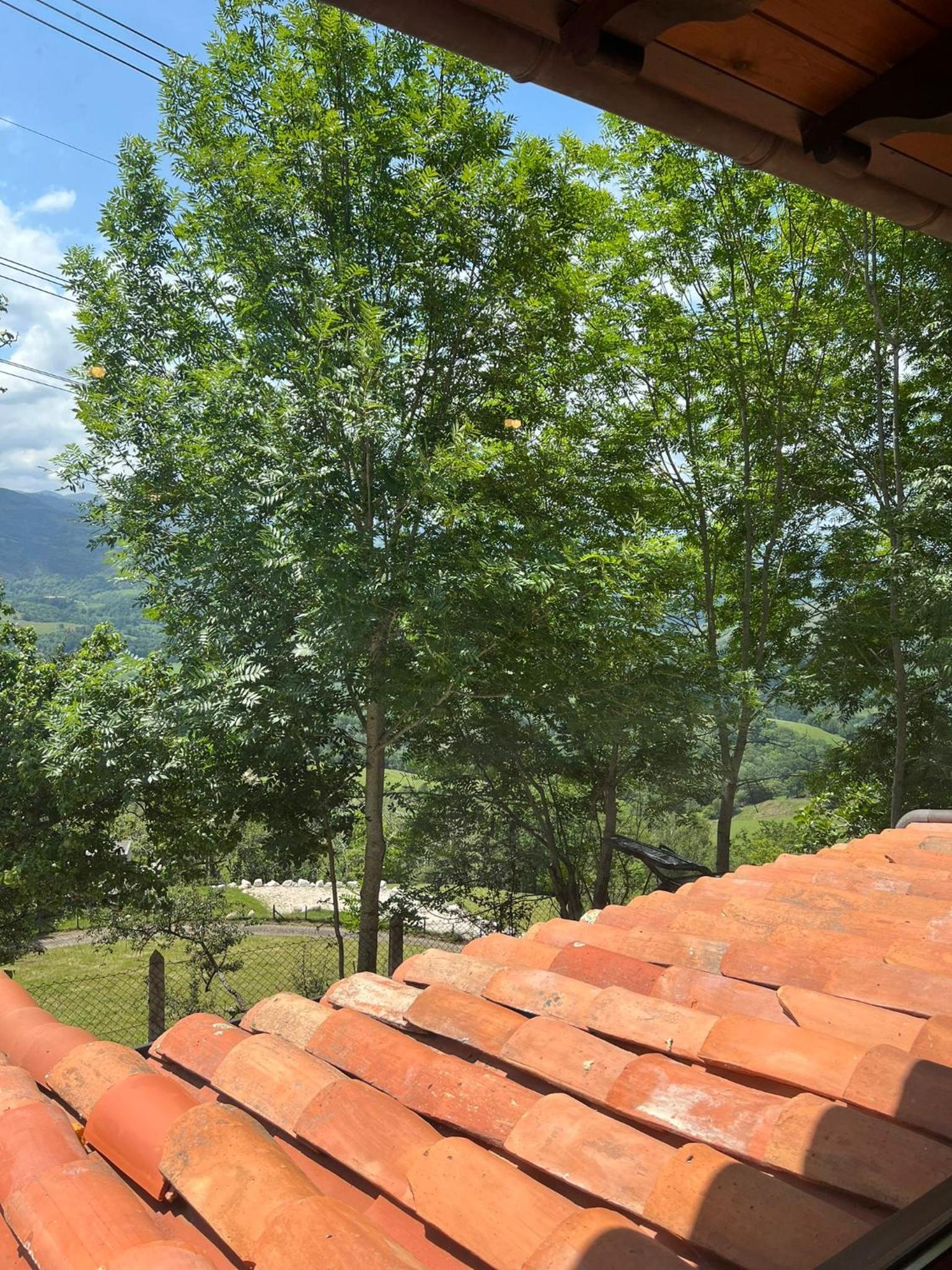Apartamentos La Cabaña del Cerro Alto