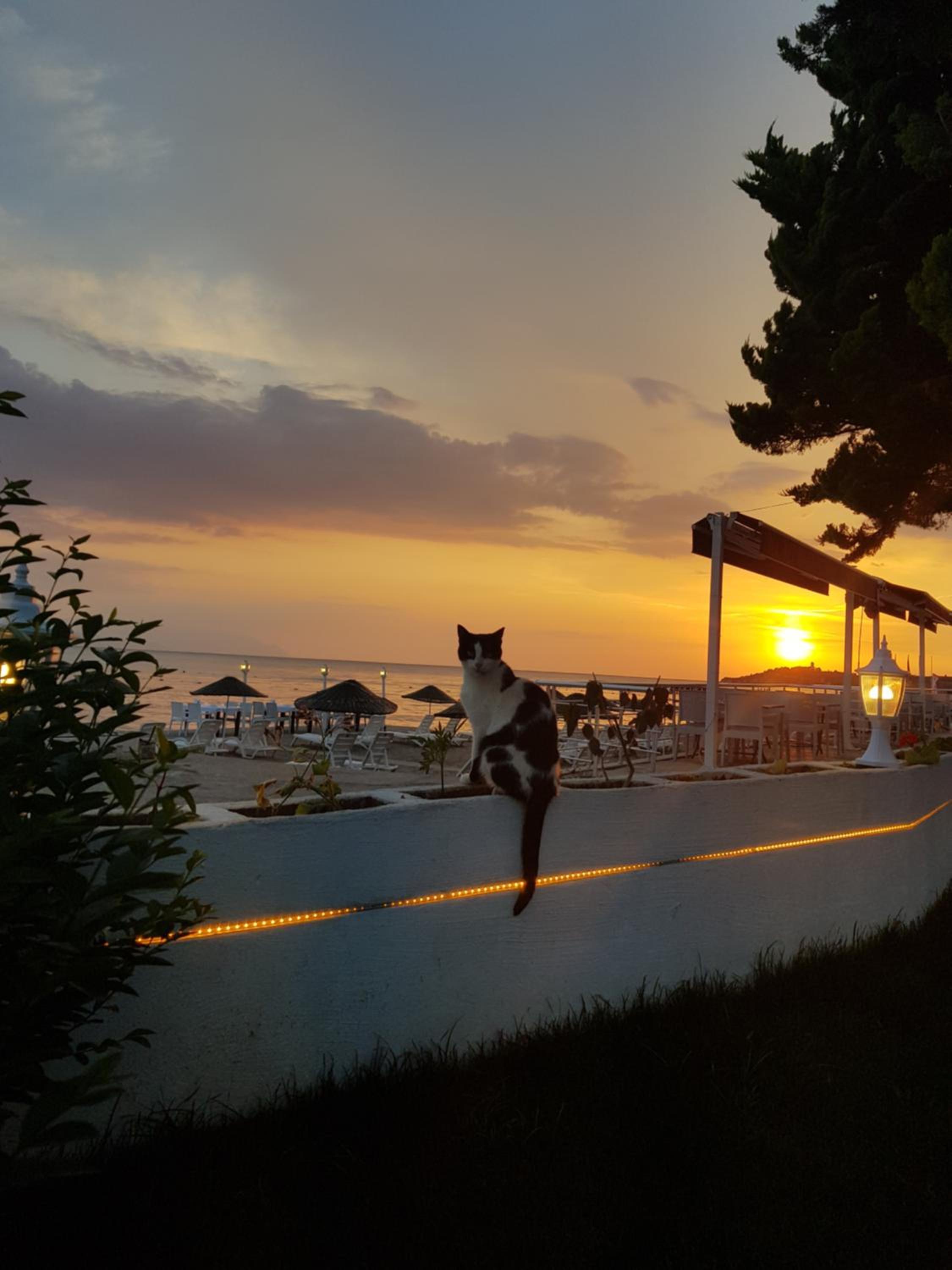 Villa Sevilla - Image 89