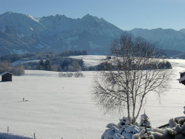 Eldorado - Ferienwohnungen & Suiten