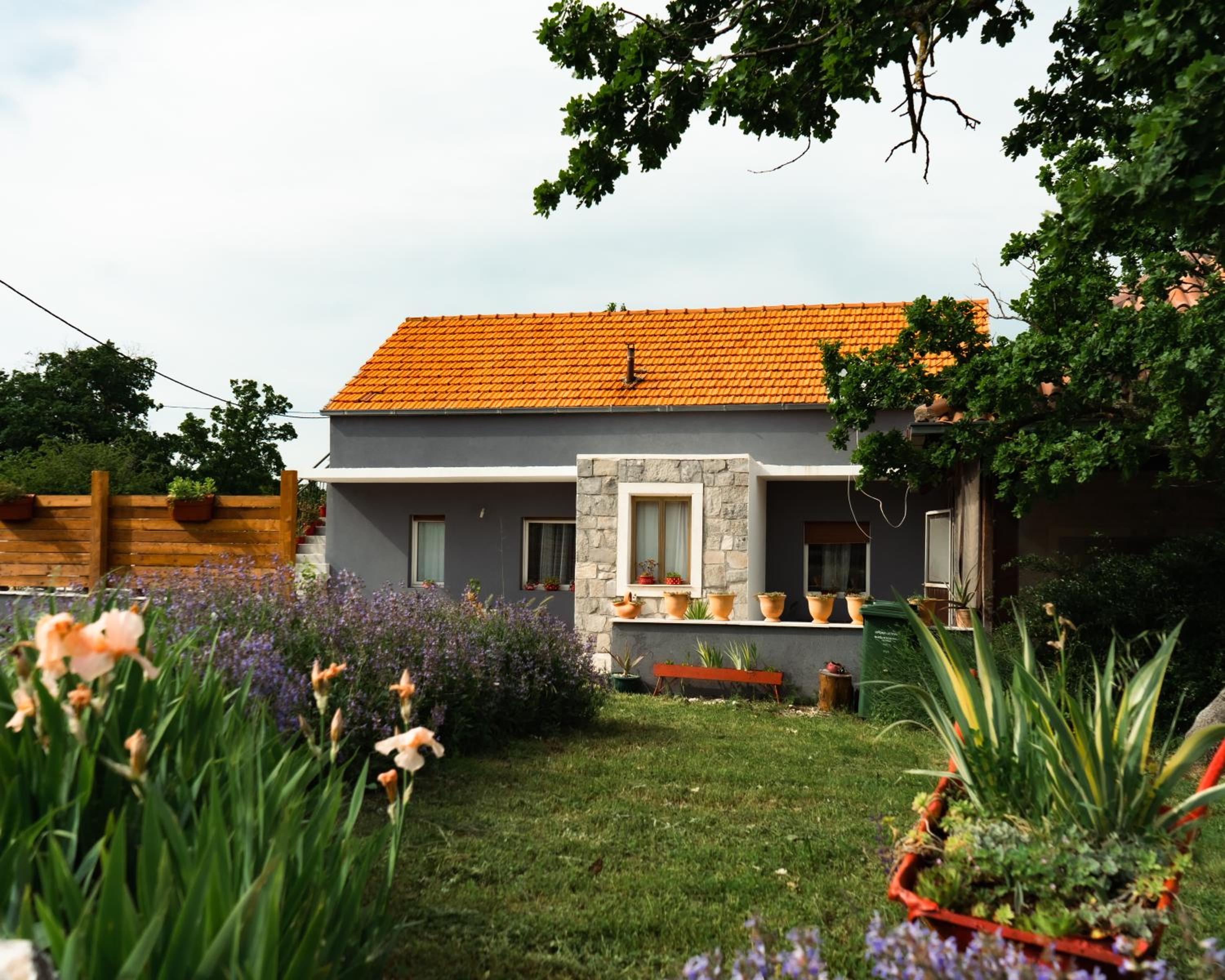 Photo 23