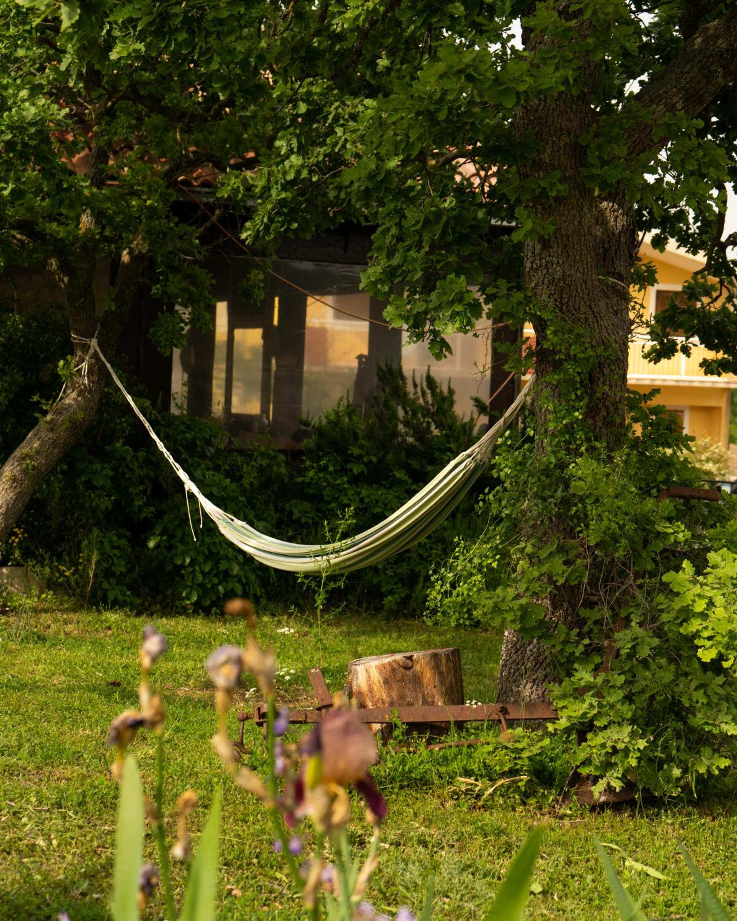 Forest Queen - Village holiday home view 4