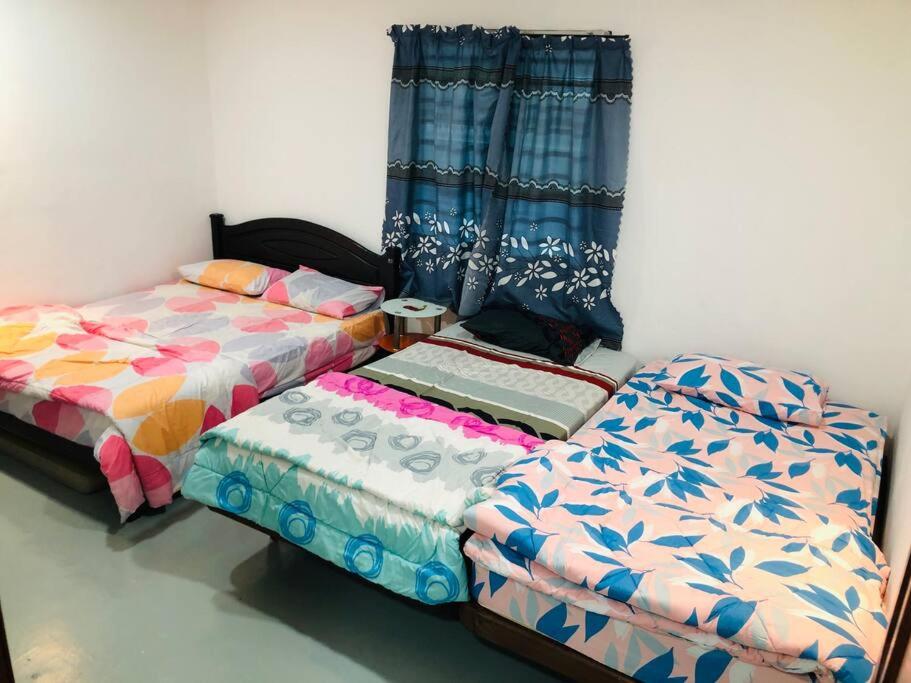The King’s Guesthouse Cameron photo 5