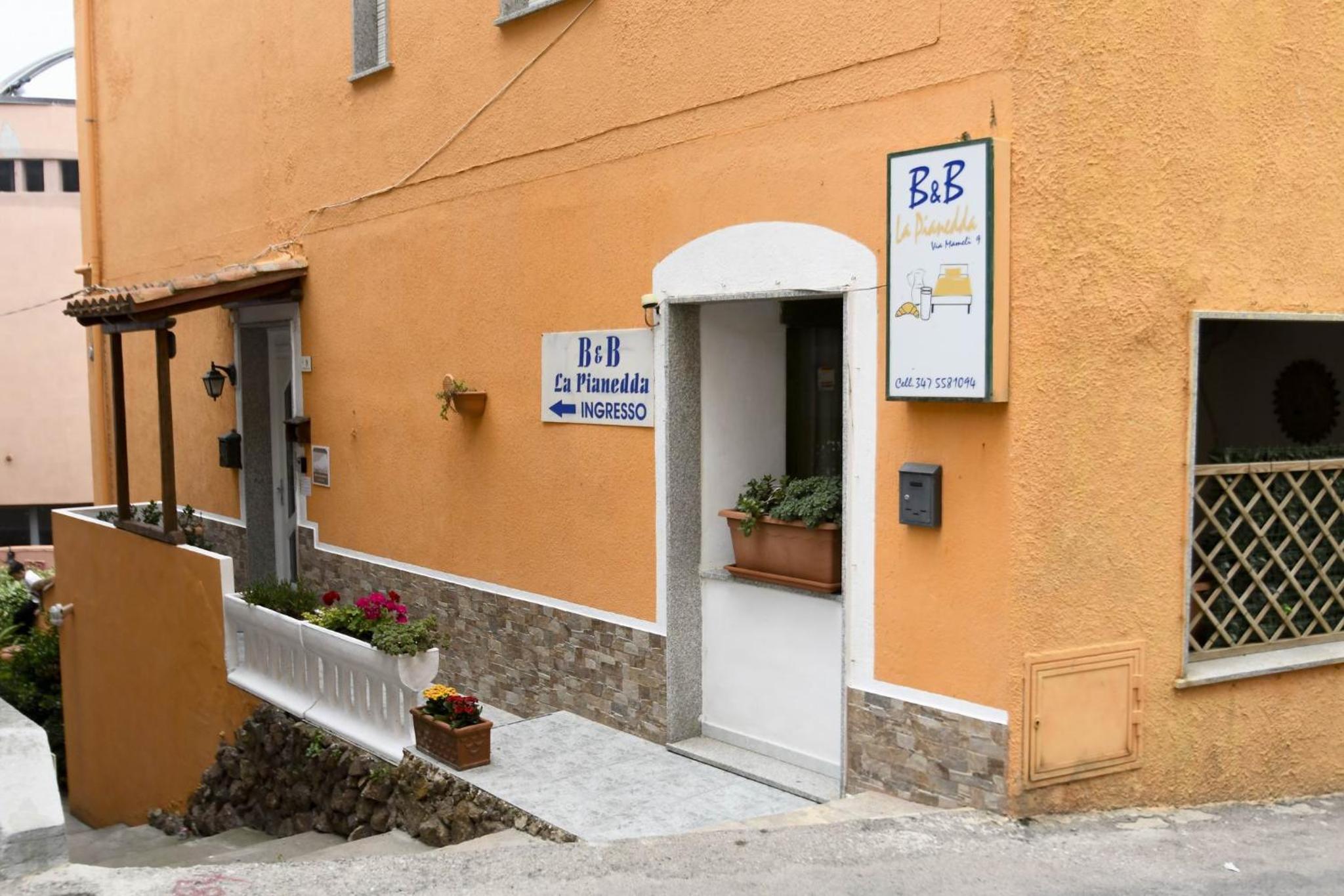 Photo 21