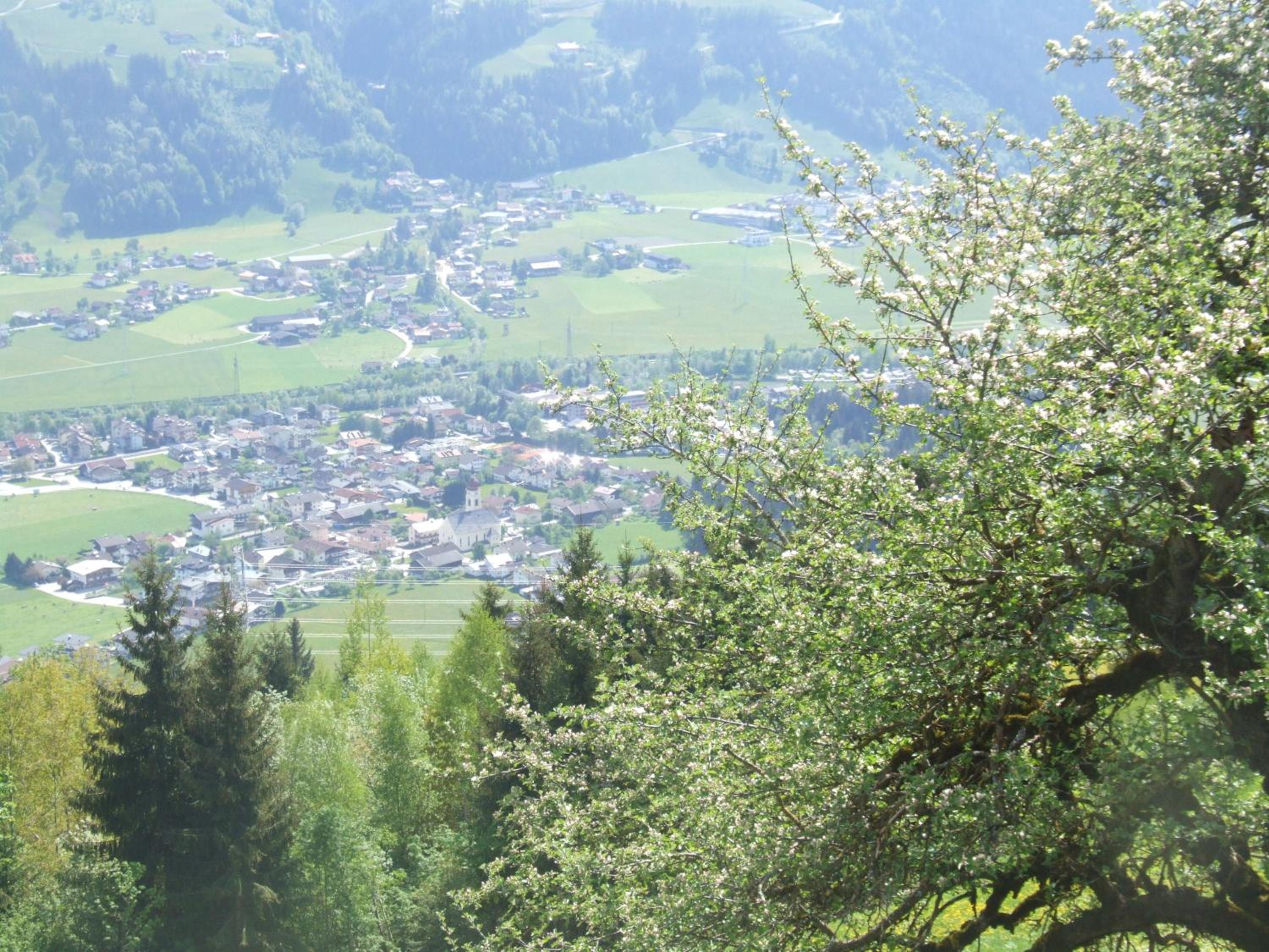 Photo 25